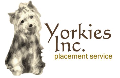 Yorkies inc - Happy Tails showcases our dogs with their new owners who have adopted them.